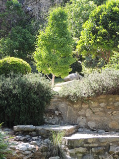 Filename=DSCN4060.JPG
Filesize=5689KiB
Dimensions=3456x4608
Date added=Sep 27, 2019 DSCN4060.JPG