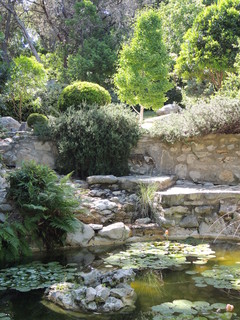 Filename=DSCN4061.JPG
Filesize=5290KiB
Dimensions=3456x4608
Date added=Sep 27, 2019 DSCN4061.JPG