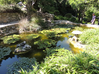 Filename=DSCN4062.JPG
Filesize=5124KiB
Dimensions=4608x3456
Date added=Sep 27, 2019 DSCN4062.JPG