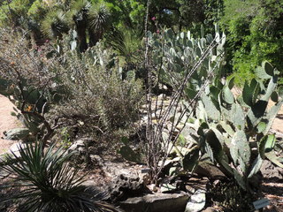 Filename=DSCN4066.JPG
Filesize=4915KiB
Dimensions=4608x3456
Date added=Sep 27, 2019 DSCN4066.JPG