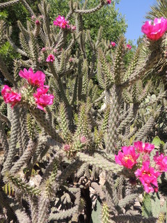 Filename=DSCN4069.JPG
Filesize=5014KiB
Dimensions=3456x4608
Date added=Sep 27, 2019 DSCN4069.JPG