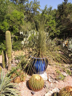 Filename=DSCN4071.JPG
Filesize=4845KiB
Dimensions=3456x4608
Date added=Sep 27, 2019 DSCN4071.JPG