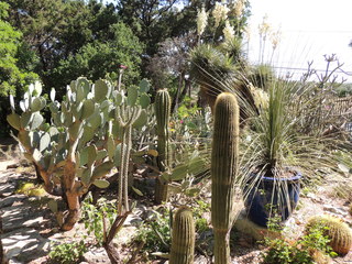 Filename=DSCN4072.JPG
Filesize=5045KiB
Dimensions=4608x3456
Date added=Sep 27, 2019 DSCN4072.JPG