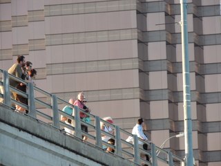 Filename=DSCN4111.JPG
Filesize=5574KiB
Dimensions=4608x3456
Date added=Sep 27, 2019 DSCN4111.JPG