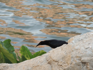 Filename=DSCN4117.JPG
Filesize=5526KiB
Dimensions=4608x3456
Date added=Sep 27, 2019 DSCN4117.JPG