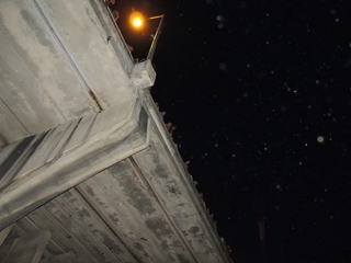 Filename=DSCN4214.JPG
Filesize=4655KiB
Dimensions=4608x3456
Date added=Sep 27, 2019 DSCN4214.JPG