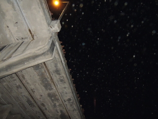 Filename=DSCN4215.JPG
Filesize=4622KiB
Dimensions=4608x3456
Date added=Sep 27, 2019 DSCN4215.JPG