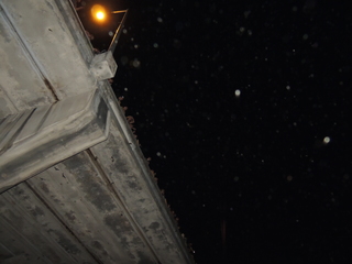 Filename=DSCN4218.JPG
Filesize=4633KiB
Dimensions=4608x3456
Date added=Sep 27, 2019 DSCN4218.JPG