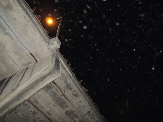 Filename=DSCN4219.JPG
Filesize=4627KiB
Dimensions=4608x3456
Date added=Sep 27, 2019 DSCN4219.JPG