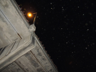 Filename=DSCN4220.JPG
Filesize=4676KiB
Dimensions=4608x3456
Date added=Sep 27, 2019 DSCN4220.JPG