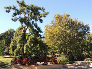 Filename=DSCN4862.JPG
Filesize=5321KiB
Dimensions=4608x3456
Date added=Sep 26, 2019 DSCN4862.JPG