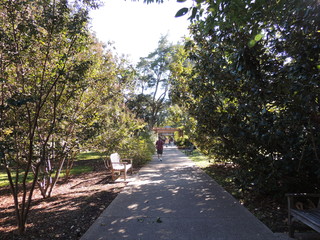 Filename=DSCN4874.JPG
Filesize=4987KiB
Dimensions=4608x3456
Date added=Sep 26, 2019 DSCN4874.JPG