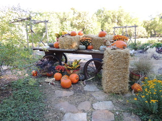 Filename=DSCN4885.JPG
Filesize=5145KiB
Dimensions=4608x3456
Date added=Sep 26, 2019 DSCN4885.JPG