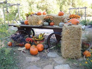 Filename=DSCN4886.JPG
Filesize=5156KiB
Dimensions=4608x3456
Date added=Sep 26, 2019 DSCN4886.JPG