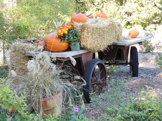 Filename=DSCN4887.JPG
Filesize=5835KiB
Dimensions=4608x3456
Date added=Sep 26, 2019 DSCN4887.JPG