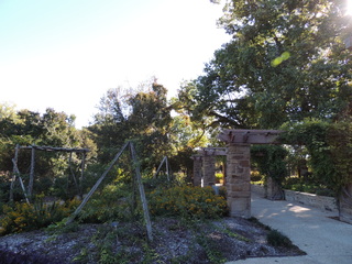 Filename=DSCN4889.JPG
Filesize=5356KiB
Dimensions=4608x3456
Date added=Sep 26, 2019 DSCN4889.JPG