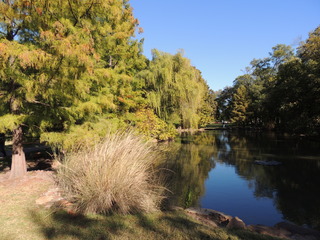 Filename=DSCN4905.JPG
Filesize=5086KiB
Dimensions=4608x3456
Date added=Sep 26, 2019 DSCN4905.JPG