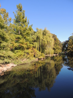 Filename=DSCN4908.JPG
Filesize=5249KiB
Dimensions=3456x4608
Date added=Sep 26, 2019 DSCN4908.JPG