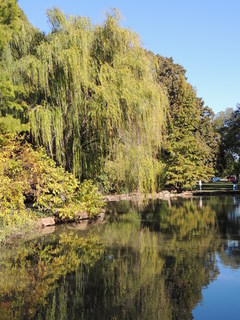 Filename=DSCN4910.JPG
Filesize=5307KiB
Dimensions=3456x4608
Date added=Sep 26, 2019 DSCN4910.JPG