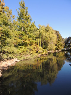 Filename=DSCN4911.JPG
Filesize=5266KiB
Dimensions=3456x4608
Date added=Sep 26, 2019 DSCN4911.JPG