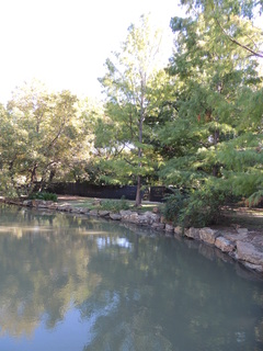 Filename=DSCN4912.JPG
Filesize=5258KiB
Dimensions=3456x4608
Date added=Sep 26, 2019 DSCN4912.JPG