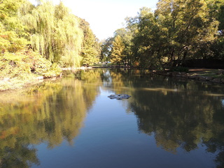 Filename=DSCN4913.JPG
Filesize=5451KiB
Dimensions=4608x3456
Date added=Sep 26, 2019 DSCN4913.JPG