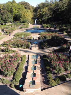 Filename=DSCN4916.JPG
Filesize=5276KiB
Dimensions=3456x4608
Date added=Sep 26, 2019 DSCN4916.JPG