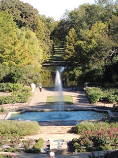 Filename=DSCN4917.JPG
Filesize=5656KiB
Dimensions=3456x4608
Date added=Sep 26, 2019 DSCN4917.JPG