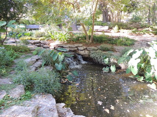 Filename=DSCN4921.JPG
Filesize=4915KiB
Dimensions=4608x3456
Date added=Sep 26, 2019 DSCN4921.JPG