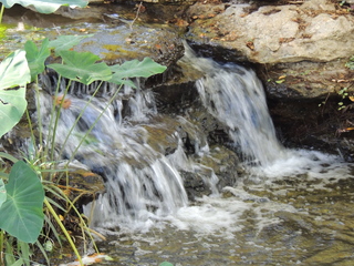 Filename=DSCN4923.JPG
Filesize=6037KiB
Dimensions=4608x3456
Date added=Sep 26, 2019 DSCN4923.JPG