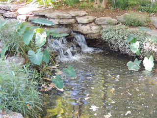 Filename=DSCN4924.JPG
Filesize=5743KiB
Dimensions=4608x3456
Date added=Sep 26, 2019 DSCN4924.JPG