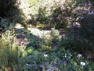 Filename=DSCN4927.JPG
Filesize=4877KiB
Dimensions=4608x3456
Date added=Sep 26, 2019 DSCN4927.JPG