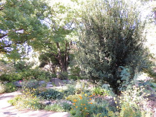 Filename=DSCN4928.JPG
Filesize=4839KiB
Dimensions=4608x3456
Date added=Sep 26, 2019 DSCN4928.JPG