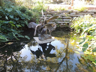 Filename=DSCN4929.JPG
Filesize=5195KiB
Dimensions=4608x3456
Date added=Sep 26, 2019 DSCN4929.JPG