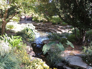 Filename=DSCN4936.JPG
Filesize=5372KiB
Dimensions=4608x3456
Date added=Sep 26, 2019 DSCN4936.JPG