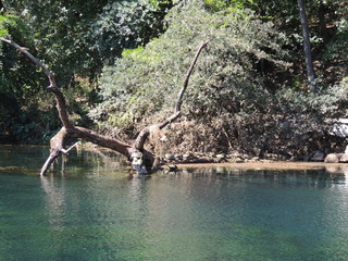 Filename=DSCN5249.JPG
Filesize=5798KiB
Dimensions=4608x3456
Date added=Sep 26, 2019 DSCN5249.JPG