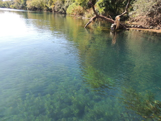 Filename=DSCN5253.JPG
Filesize=5454KiB
Dimensions=4608x3456
Date added=Sep 26, 2019 DSCN5253.JPG