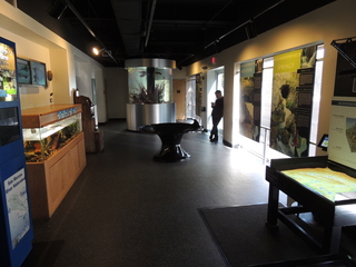 Filename=DSCN5266.JPG
Filesize=5018KiB
Dimensions=4608x3456
Date added=Sep 26, 2019 DSCN5266.JPG