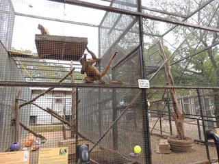 Filename=DSCN5271.JPG
Filesize=5310KiB
Dimensions=4608x3456
Date added=Sep 26, 2019 DSCN5271.JPG