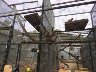 Filename=DSCN5272.JPG
Filesize=4891KiB
Dimensions=4608x3456
Date added=Sep 26, 2019 DSCN5272.JPG