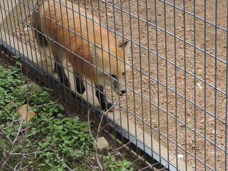 Filename=DSCN5277.JPG
Filesize=6259KiB
Dimensions=4608x3456
Date added=Sep 26, 2019 DSCN5277.JPG