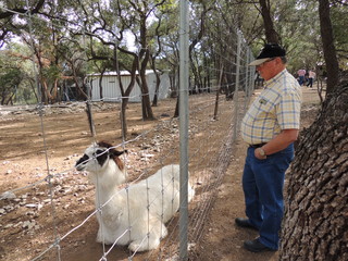 Filename=DSCN5281.JPG
Filesize=5018KiB
Dimensions=4608x3456
Date added=Sep 26, 2019 DSCN5281.JPG