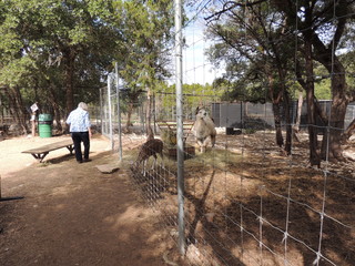 Filename=DSCN5282.JPG
Filesize=5013KiB
Dimensions=4608x3456
Date added=Sep 26, 2019 DSCN5282.JPG