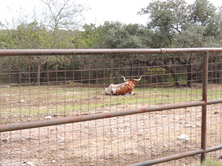 Filename=DSCN5295.JPG
Filesize=6183KiB
Dimensions=4608x3456
Date added=Sep 26, 2019 DSCN5295.JPG