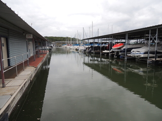 Filename=DSCN5303.JPG
Filesize=4878KiB
Dimensions=4608x3456
Date added=Sep 26, 2019 DSCN5303.JPG