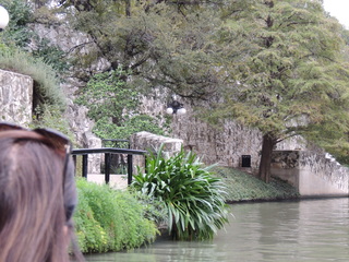 Filename=DSCN5316.JPG
Filesize=6047KiB
Dimensions=4608x3456
Date added=Sep 26, 2019 DSCN5316.JPG