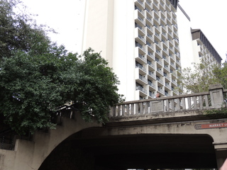 Filename=DSCN5317.JPG
Filesize=5613KiB
Dimensions=4608x3456
Date added=Sep 26, 2019 DSCN5317.JPG