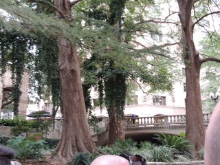 Filename=DSCN5324.JPG
Filesize=5752KiB
Dimensions=4608x3456
Date added=Sep 26, 2019 DSCN5324.JPG