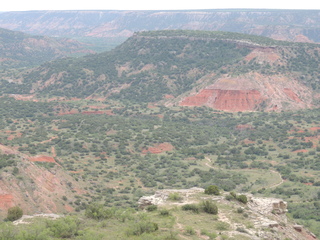 Filename=DSCN6267.JPG
Filesize=6156KiB
Dimensions=4608x3456
Date added=Sep 27, 2019 DSCN6267.JPG