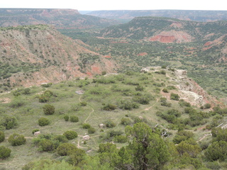 Filename=DSCN6272.JPG
Filesize=5804KiB
Dimensions=4608x3456
Date added=Sep 27, 2019 DSCN6272.JPG